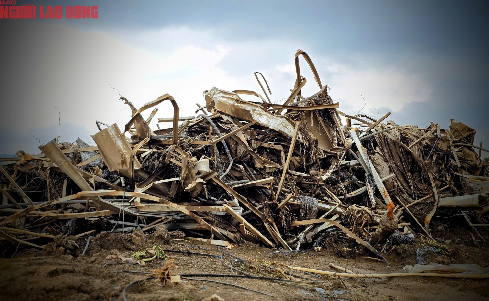 CLIP: Vựa rau lớn nhất Lâm Đồng xác xơ, nông dân mất tiền tỉ sau cơn "đại hồng thủy" - Ảnh 4