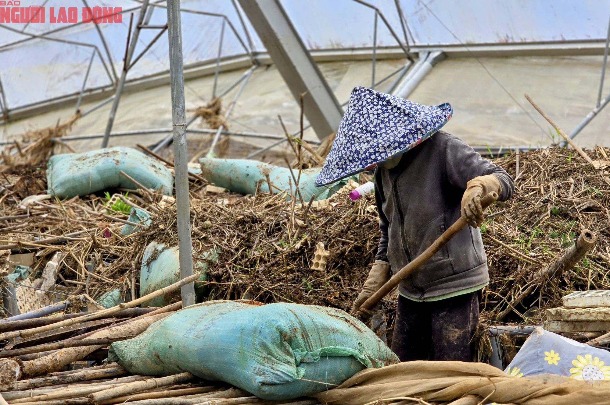CLIP: Vựa rau lớn nhất Lâm Đồng xác xơ, nông dân mất tiền tỉ sau cơn "đại hồng thủy" - Ảnh 9