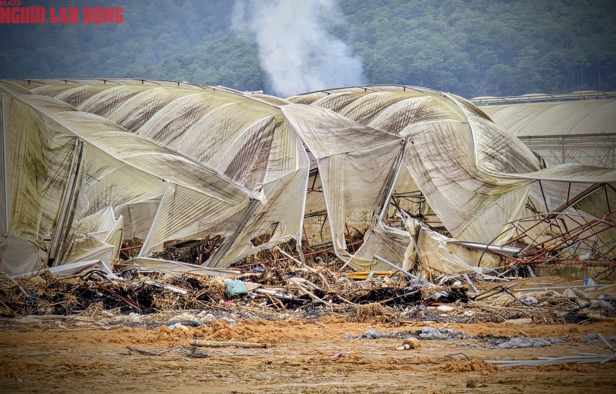 CLIP: Vựa rau lớn nhất Lâm Đồng xác xơ, nông dân mất tiền tỉ sau cơn "đại hồng thủy" - Ảnh 12