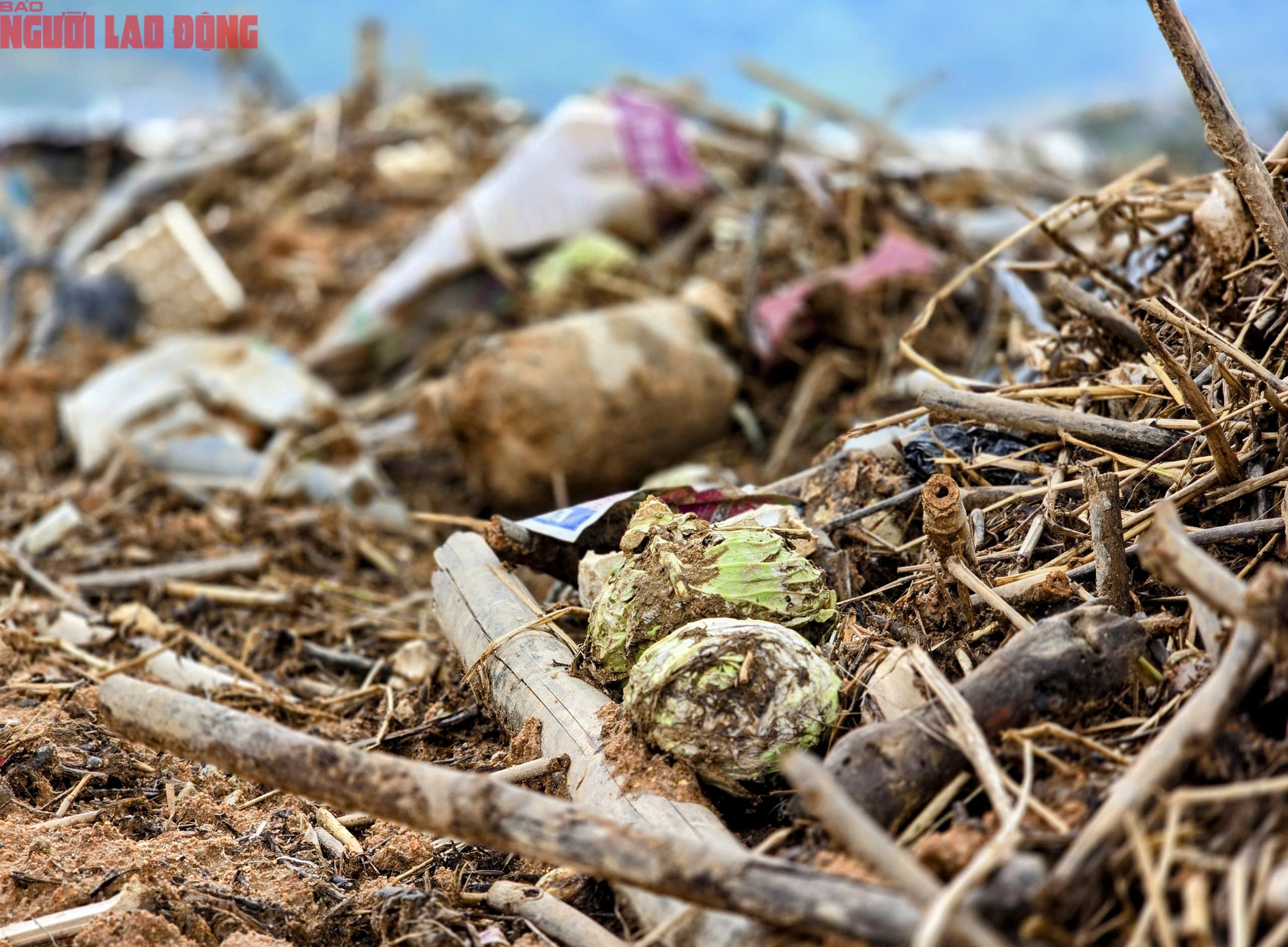 CLIP: Vựa rau lớn nhất Lâm Đồng xác xơ, nông dân mất tiền tỉ sau cơn "đại hồng thủy" - Ảnh 20