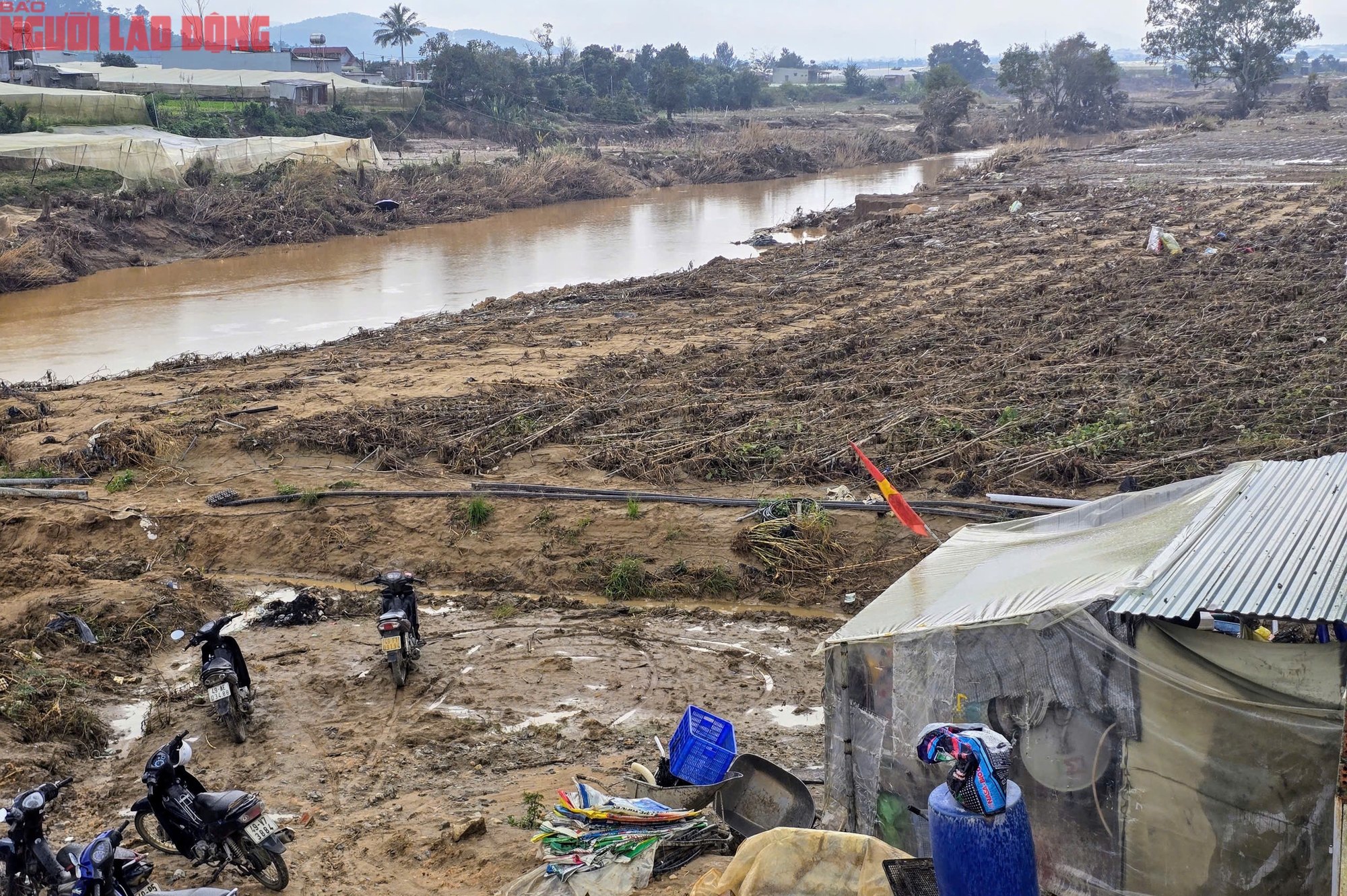 CLIP: Vựa rau lớn nhất Lâm Đồng xác xơ, nông dân mất tiền tỉ sau cơn "đại hồng thủy" - Ảnh 22