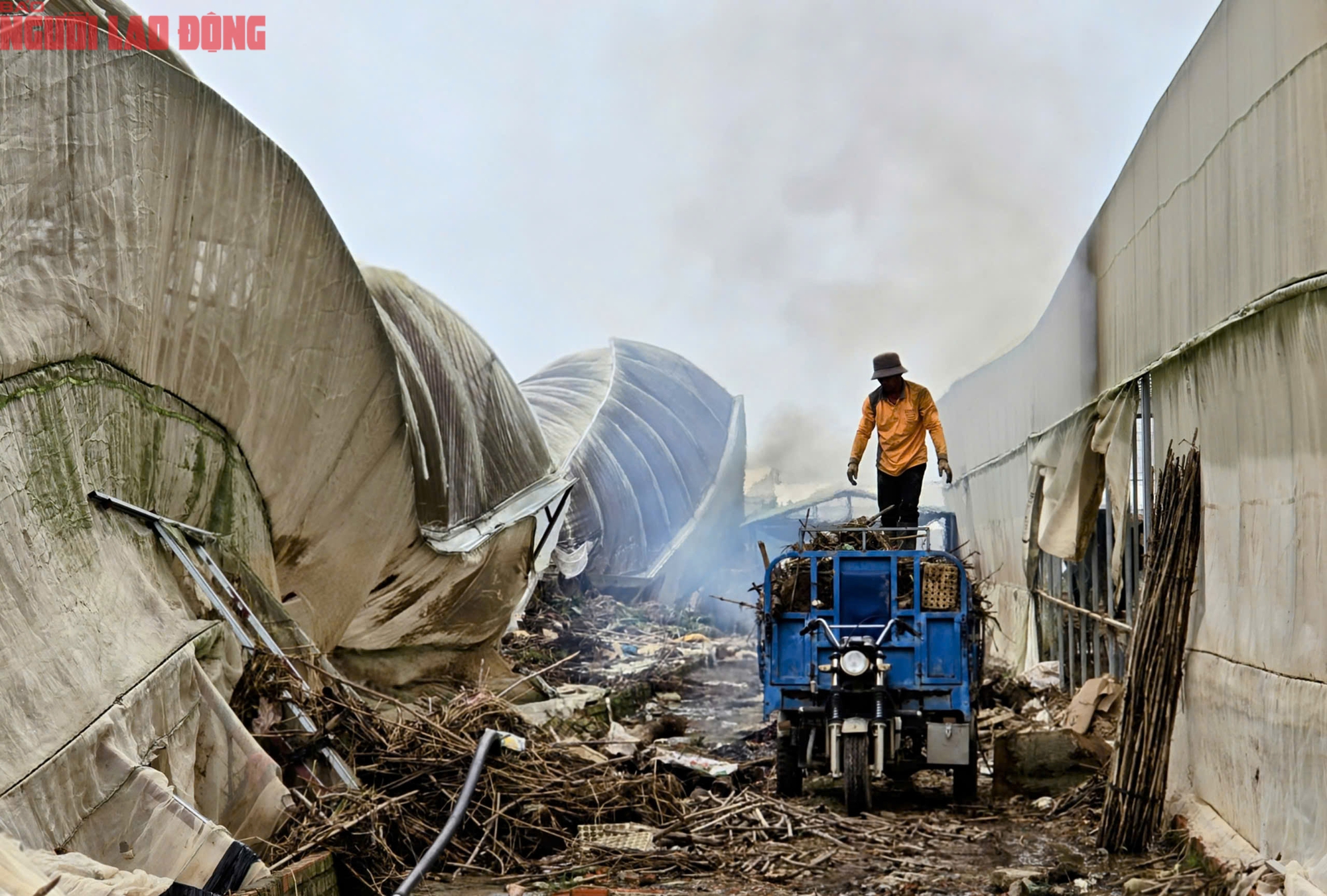 CLIP: Vựa rau lớn nhất Lâm Đồng xác xơ, nông dân mất tiền tỉ sau cơn "đại hồng thủy" - Ảnh 23