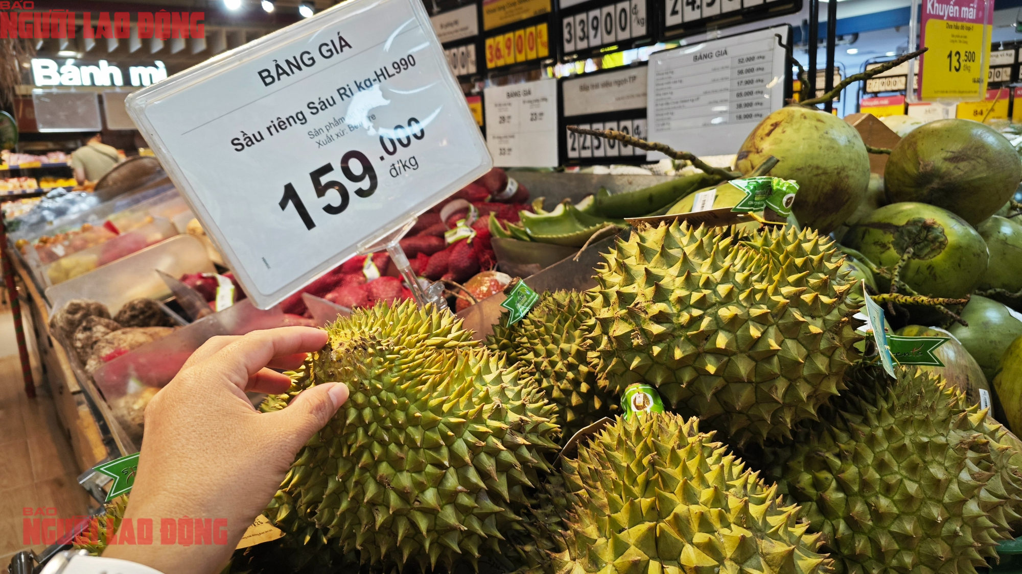 Giá sầu riêng trái vụ bất ngờ rớt mạnh - Ảnh 2