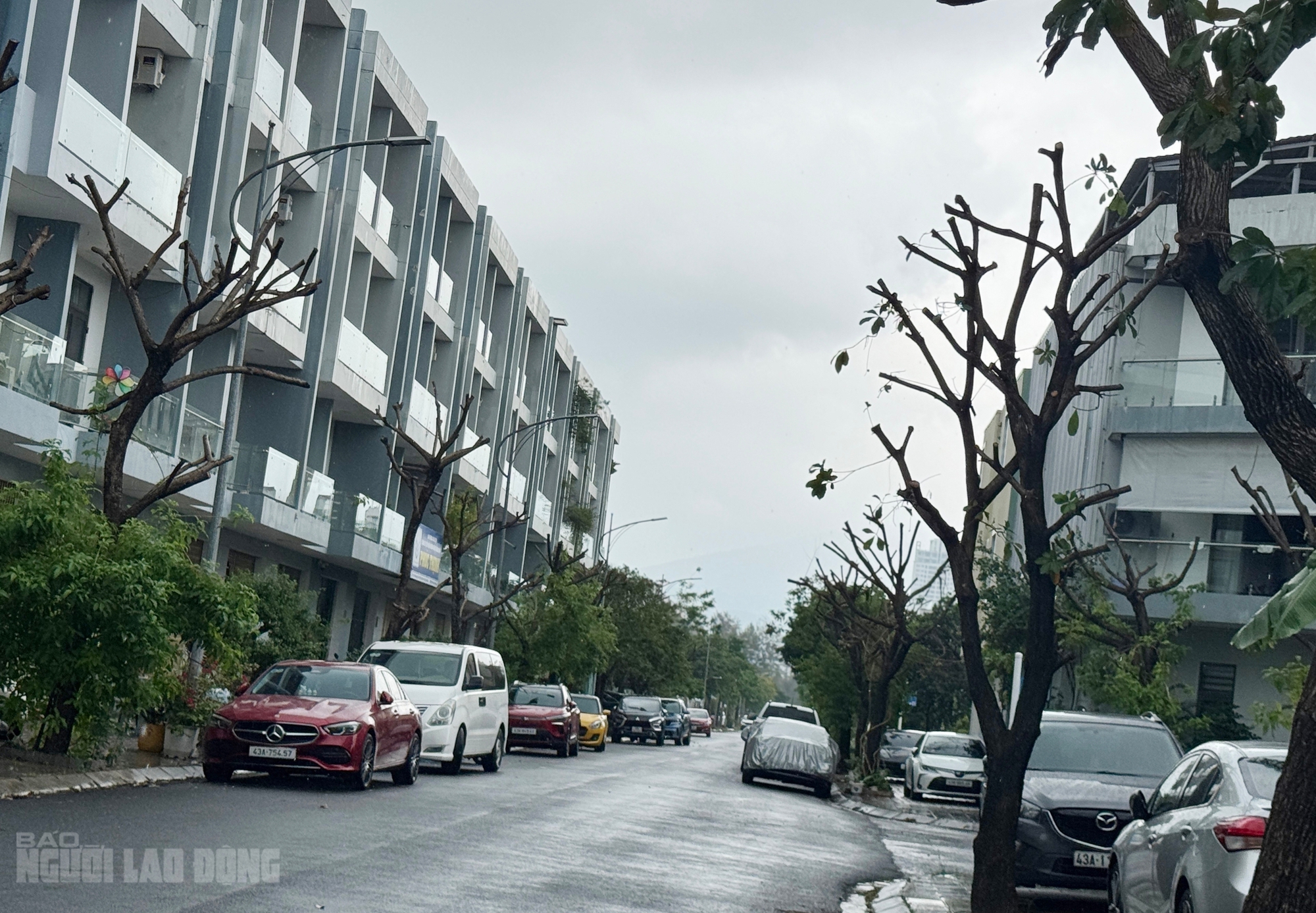 Khu đô thị quốc tế Đa Phước thi công trở lại - Ảnh 8