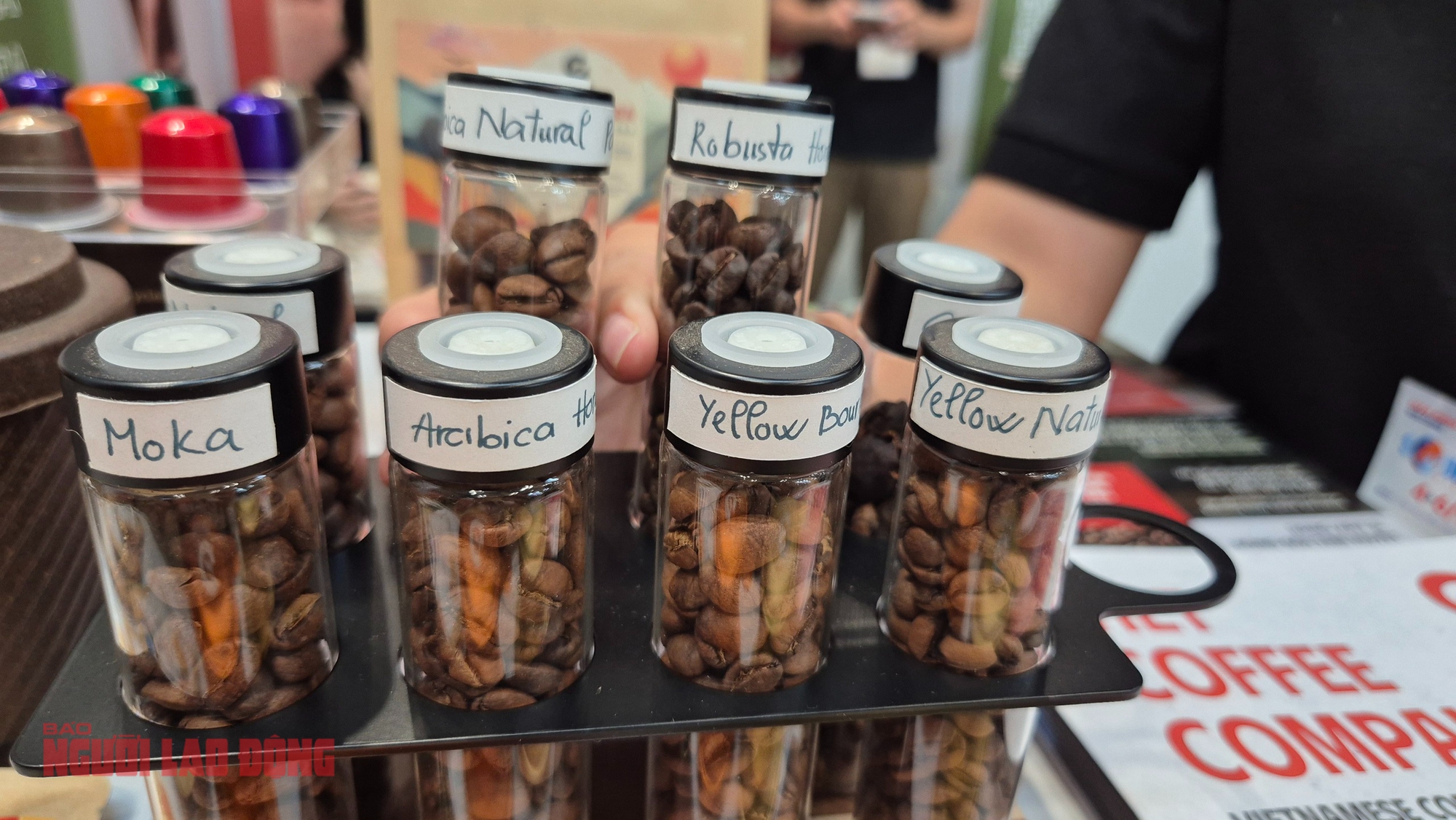 Giá cà phê hôm nay 15-12: Rớt liên tục, ông trùm cà phê nói gì? - Ảnh 1