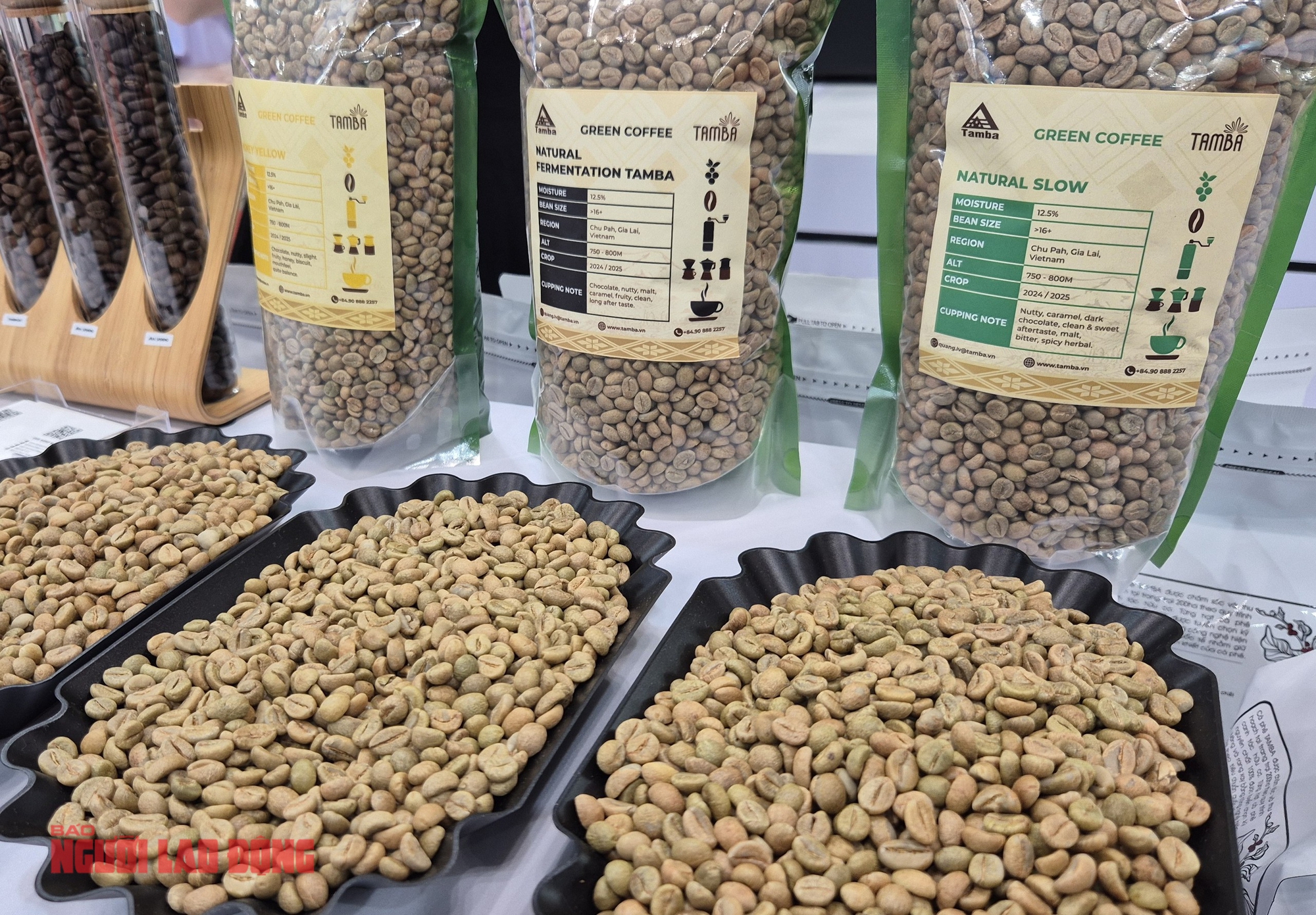 Giá cà phê hôm nay 16-12: Thủng mốc quan trọng, Đức chi hơn 1 tỉ USD nhập cà phê Việt - Ảnh 1