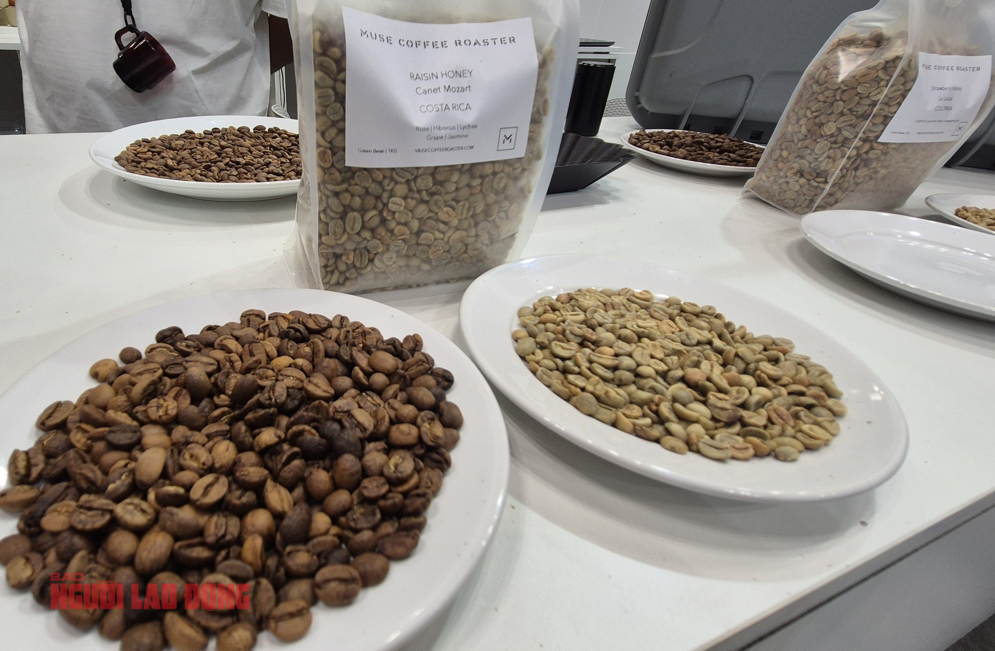 Giá cà phê hôm nay 17-12: Lao dốc dù Brazil ra hàng nhỏ giọt - Ảnh 1