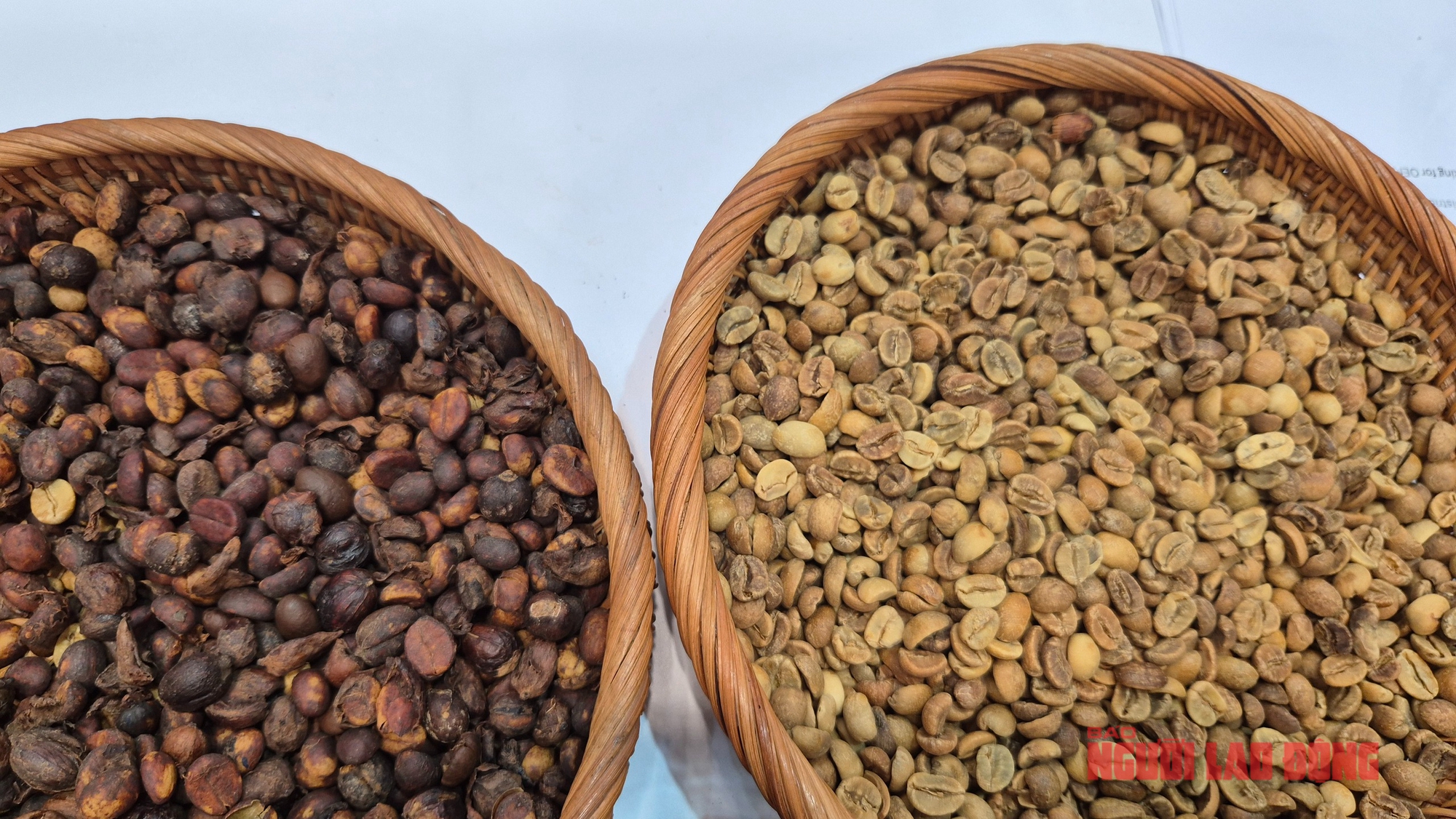 Giá cà phê hôm nay 19-12: Giảm phiên thứ 6 liên tiếp - Ảnh 1