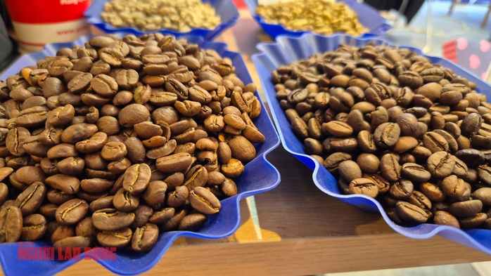 Giá cà phê hôm nay 20-12: Giảm phiên thứ 7, tiêu thụ cà phê tăng kỷ lục - Ảnh 1