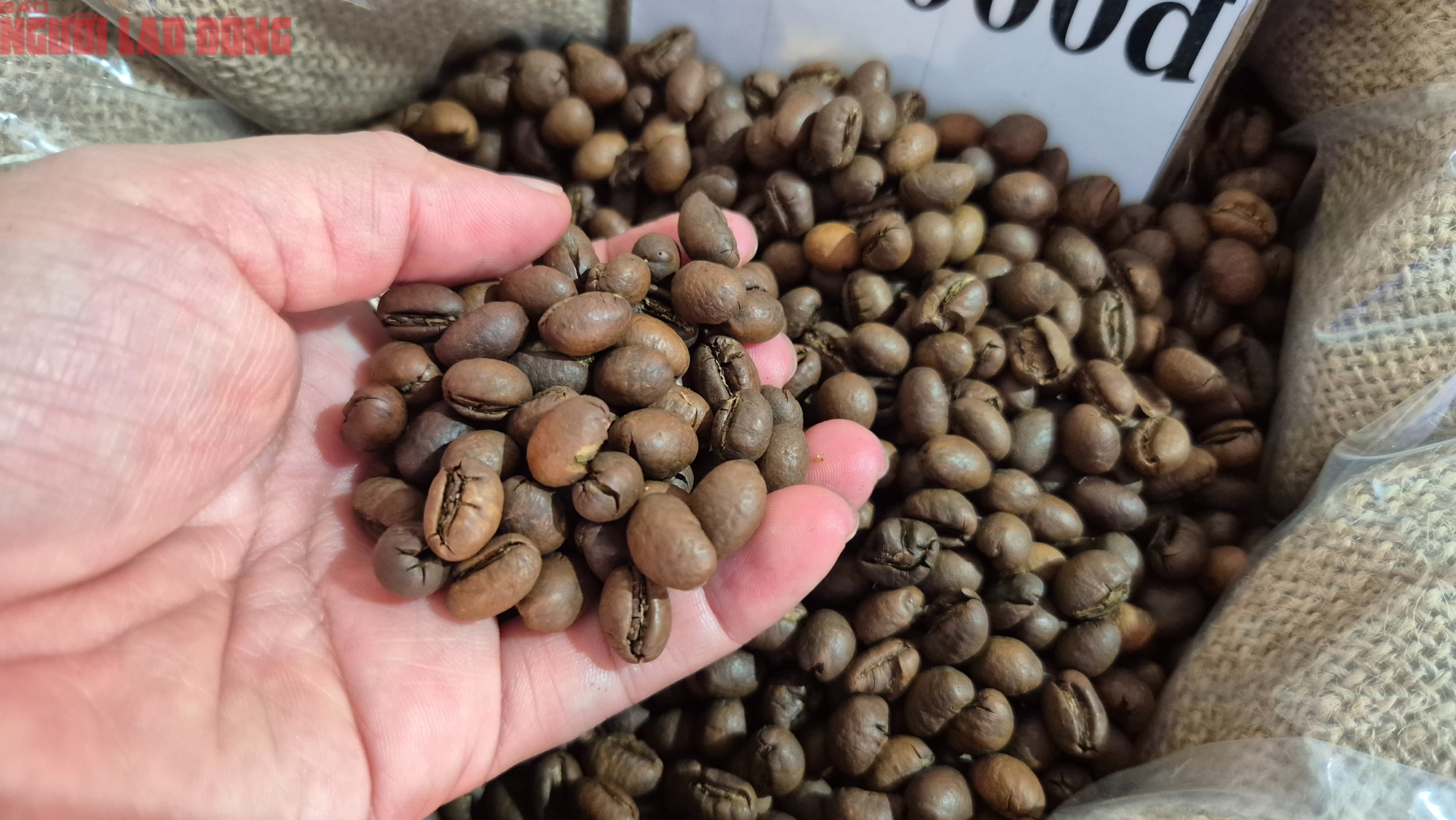 Giá cà phê hôm nay 21-12: Về lại mốc 90.000 đồng/kg - Ảnh 3