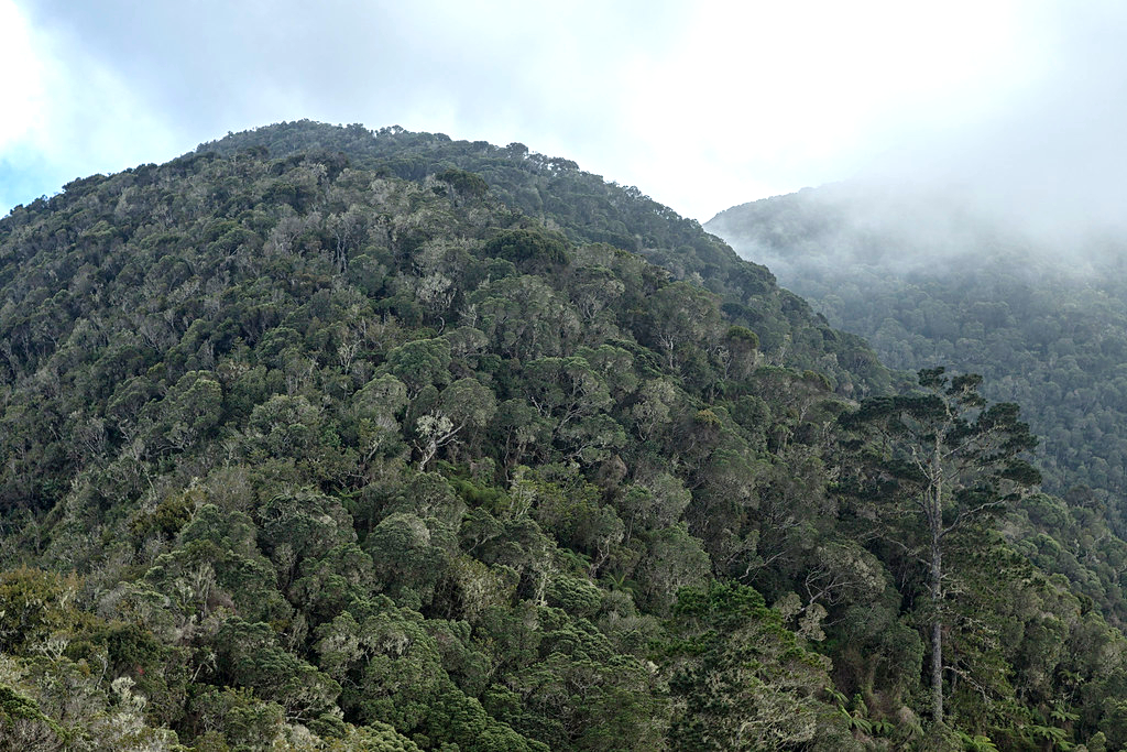 Một kỳ tích điện cao thế xuất hiện ở Cuba - Ảnh 2