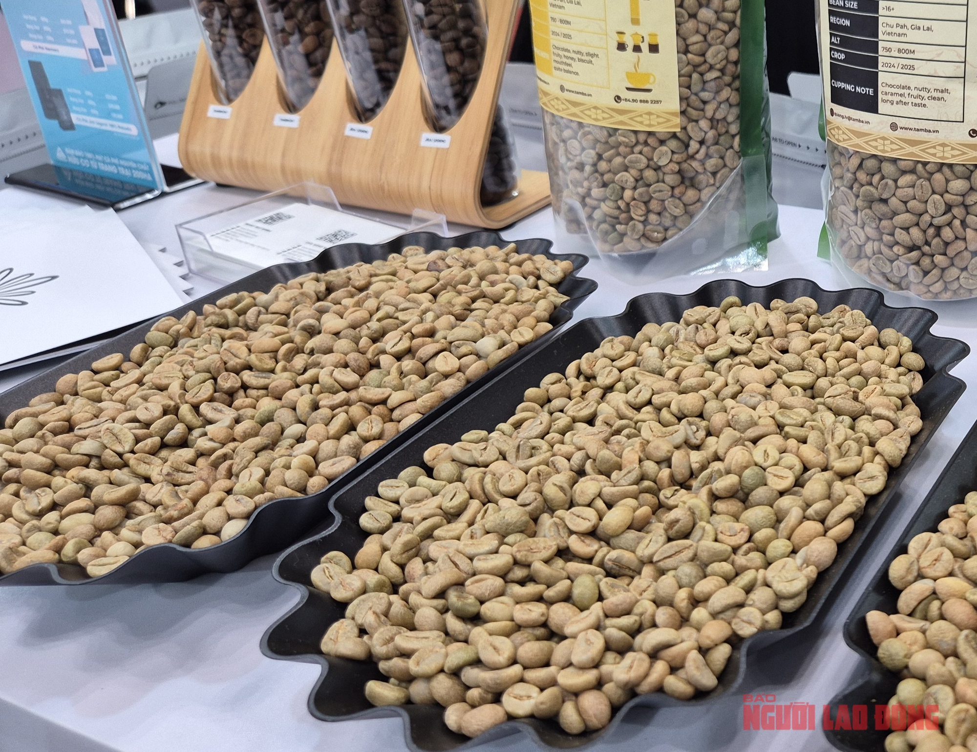 Giá cà phê hôm nay 26-12: Trong nước tăng nóng, Trung Quốc bất ngờ nhập nhiều - Ảnh 1