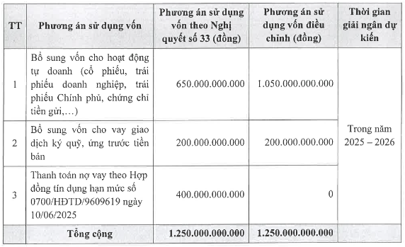 Chứng khoán Bảo Minh sử dụng 1.250 tỷ đồng từ đợt chào bán cổ phiếu riêng lẻ như thế nào? - Ảnh 1