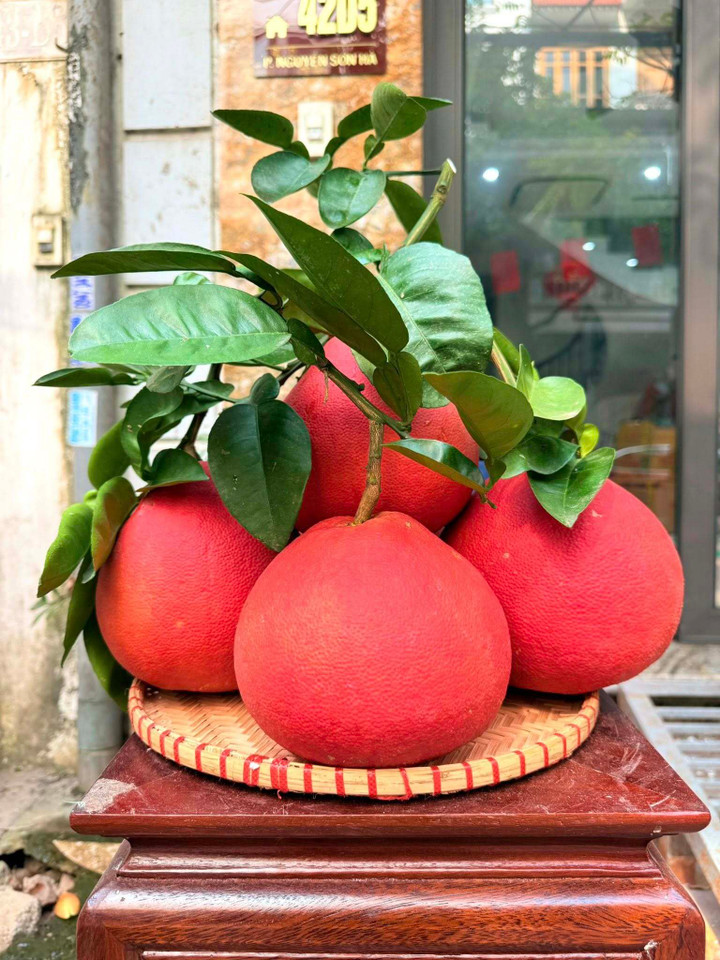 Những loại quả độc lạ chưa Tết đã hút khách - Ảnh 1