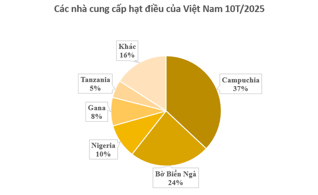 Cứu tinh từ châu Phi đổ bộ giúp Việt Nam xuất khẩu bỏ xa cả thế giới: Nước ta chi hàng tỷ USD mỗi năm để mua hàng, được người Mỹ cực kỳ ưa chuộng - Ảnh 2