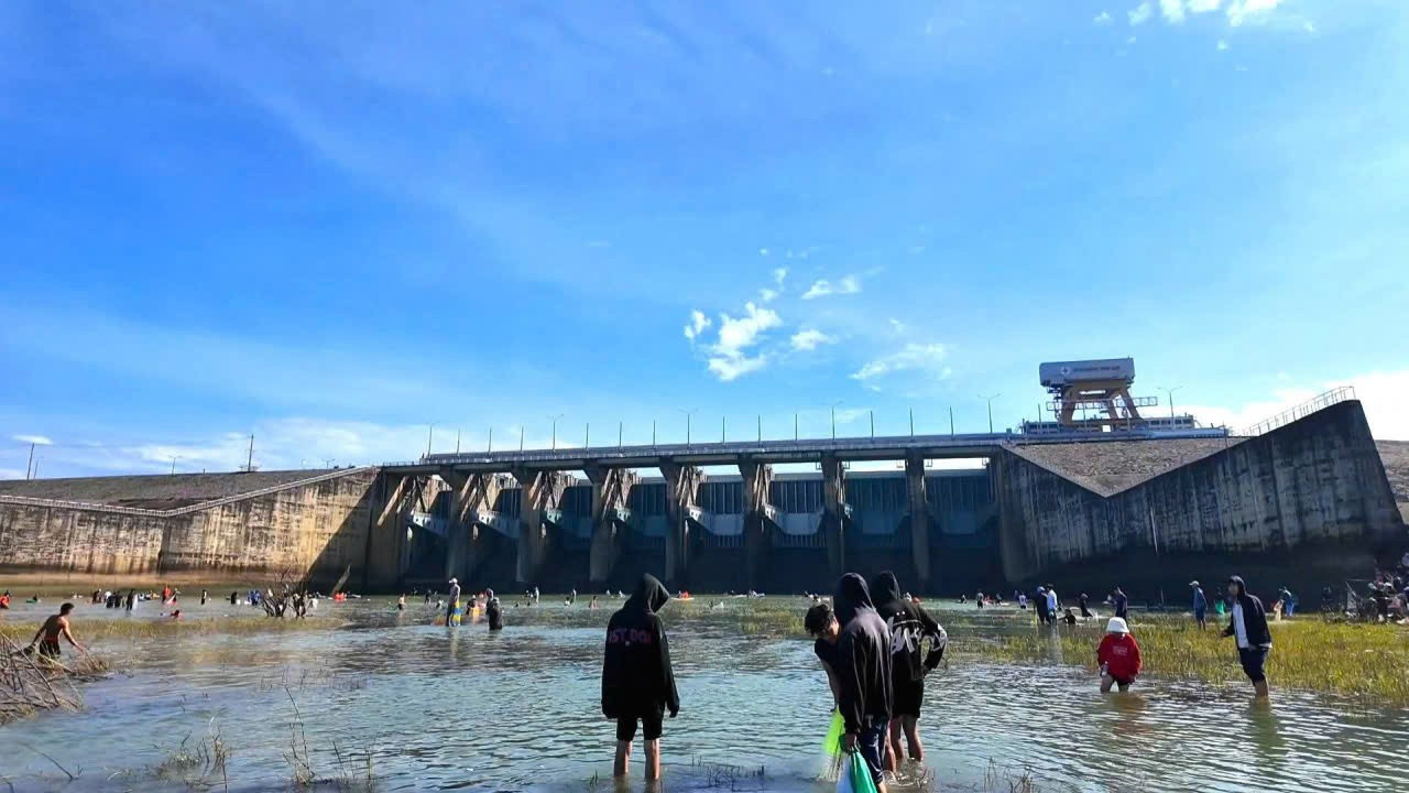 Người dân đổ xô vào Thuỷ điện Trị An bắt cá khủng - Ảnh 1