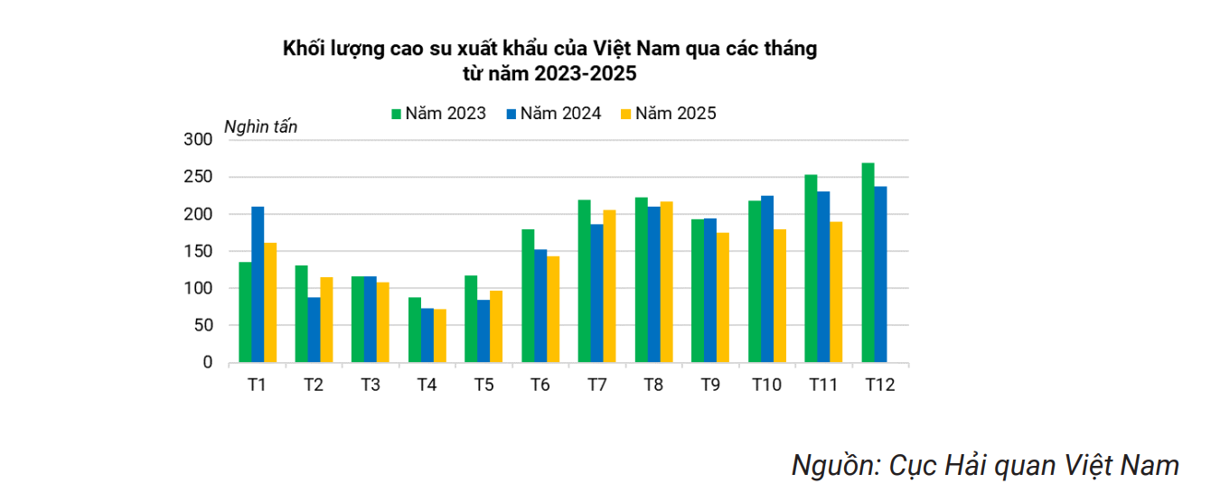 Biến động tại "thủ phủ" xe điện toàn cầu: Mặt hàng tỷ USD của Việt Nam trong chuỗi lốp xe rơi vào thế khó - Ảnh 2