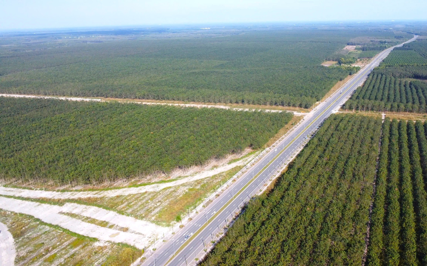 Hình hài đường cao tốc TPHCM đi Tây Nguyên sau gần 1 năm khởi công - Ảnh 18