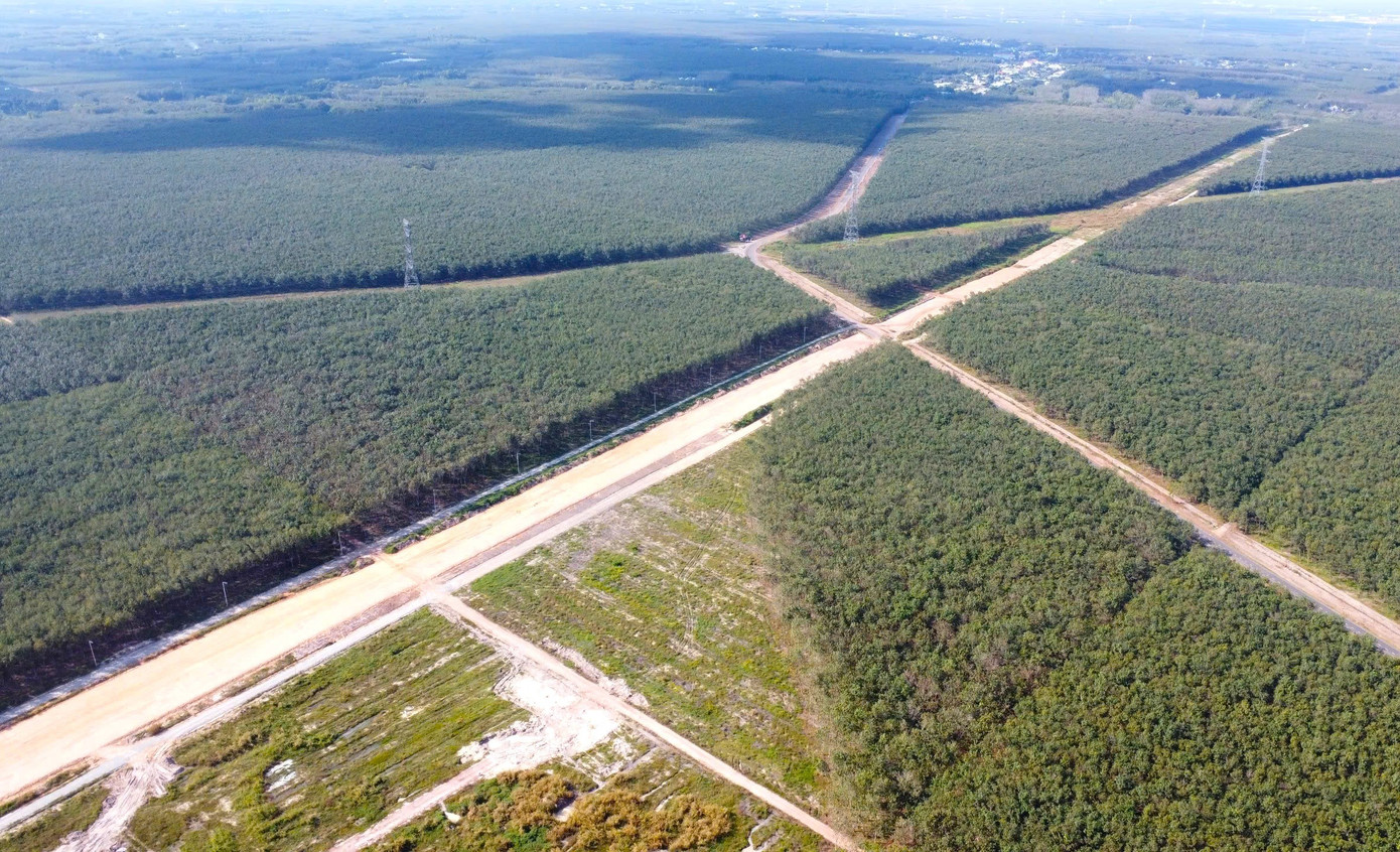 Hình hài đường cao tốc TPHCM đi Tây Nguyên sau gần 1 năm khởi công - Ảnh 11