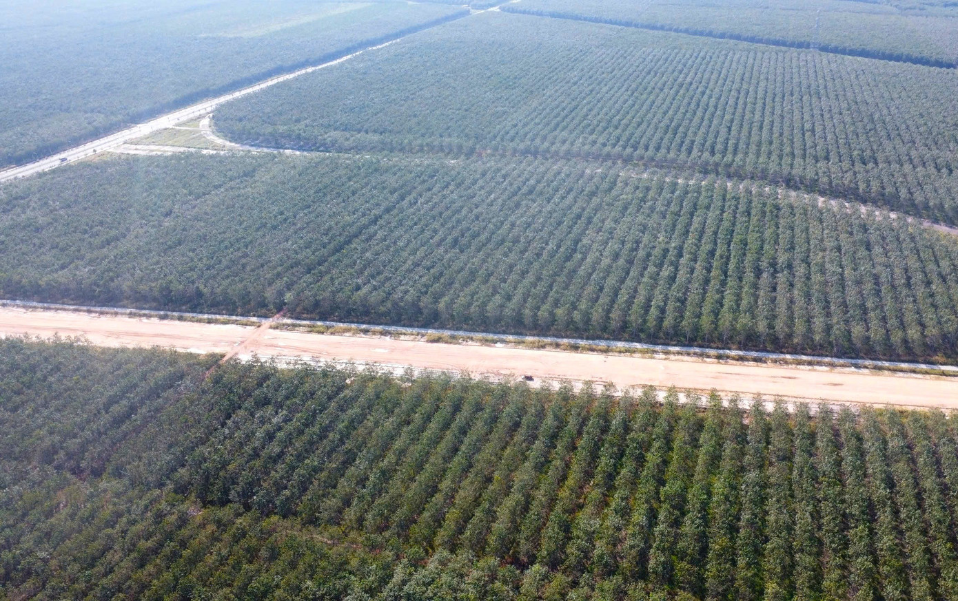 Hình hài đường cao tốc TPHCM đi Tây Nguyên sau gần 1 năm khởi công - Ảnh 13