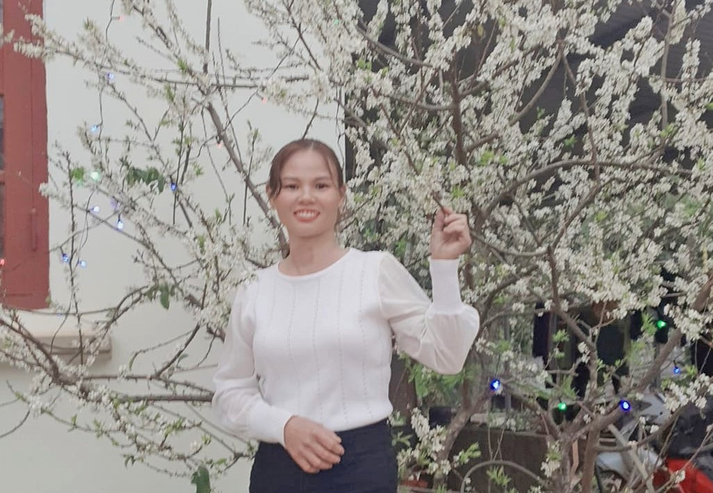 'Sốt nóng' giá vé máy bay, tàu xe Tết - Ảnh 3