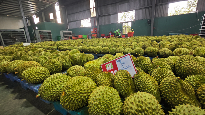 Xuất khẩu nông, lâm, thủy sản sớm về đích - Ảnh 1