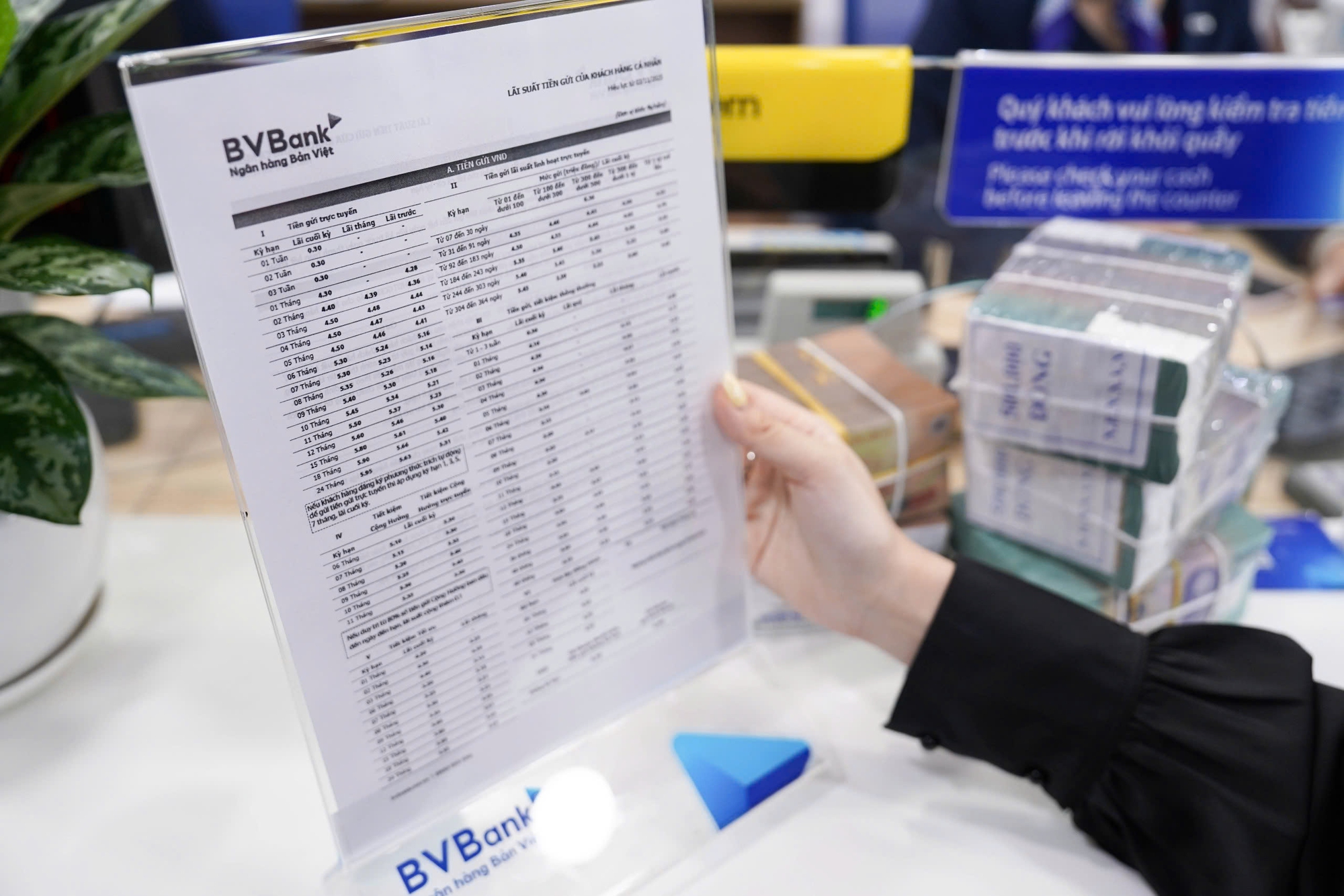 Gói vay ưu đãi cho người trẻ bất ngờ tạm dừng - Ảnh 1