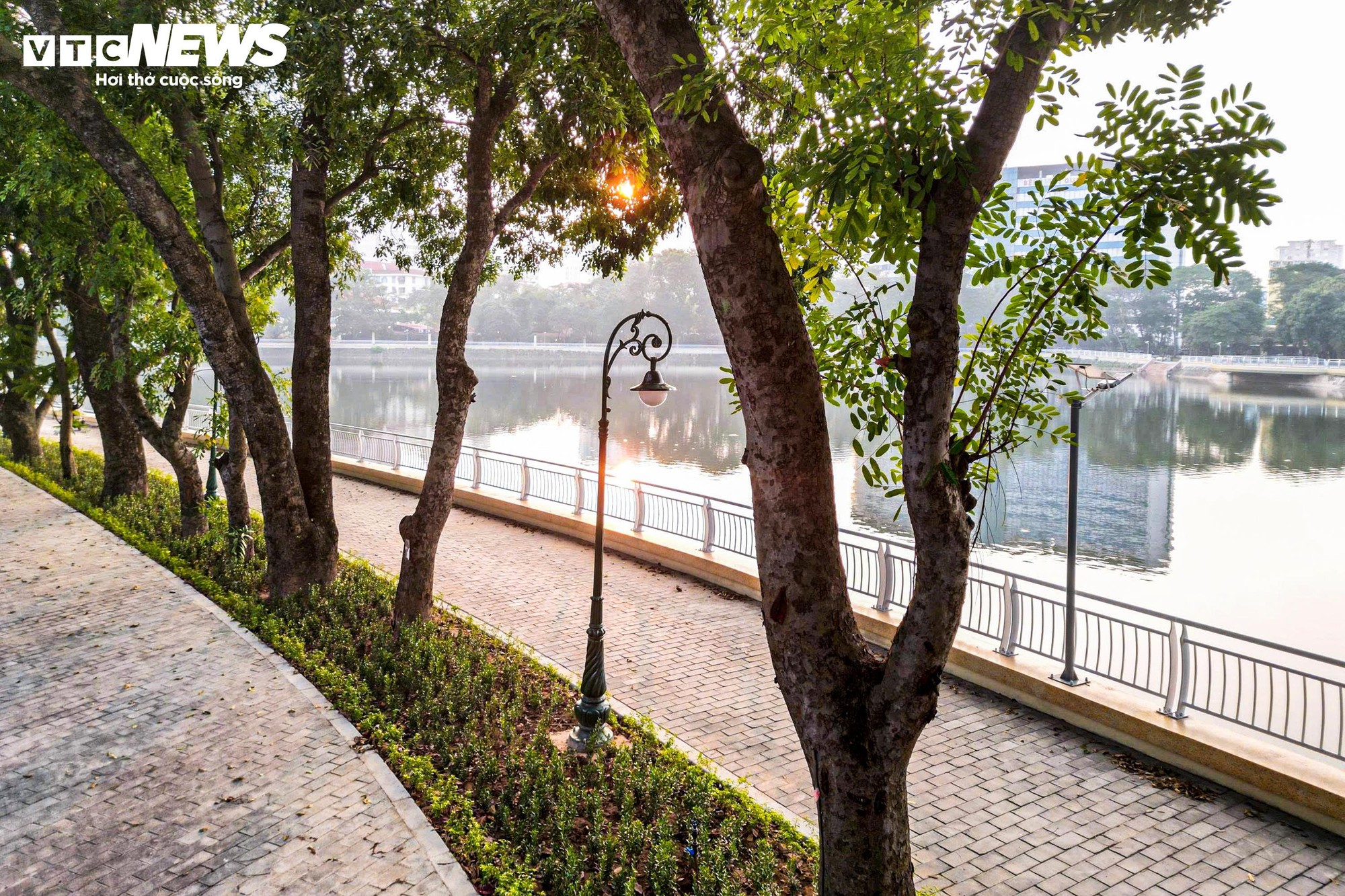 Chiêm ngưỡng cầu đi bộ hình cây đàn trong công viên trung tâm Hà Nội - Ảnh 10