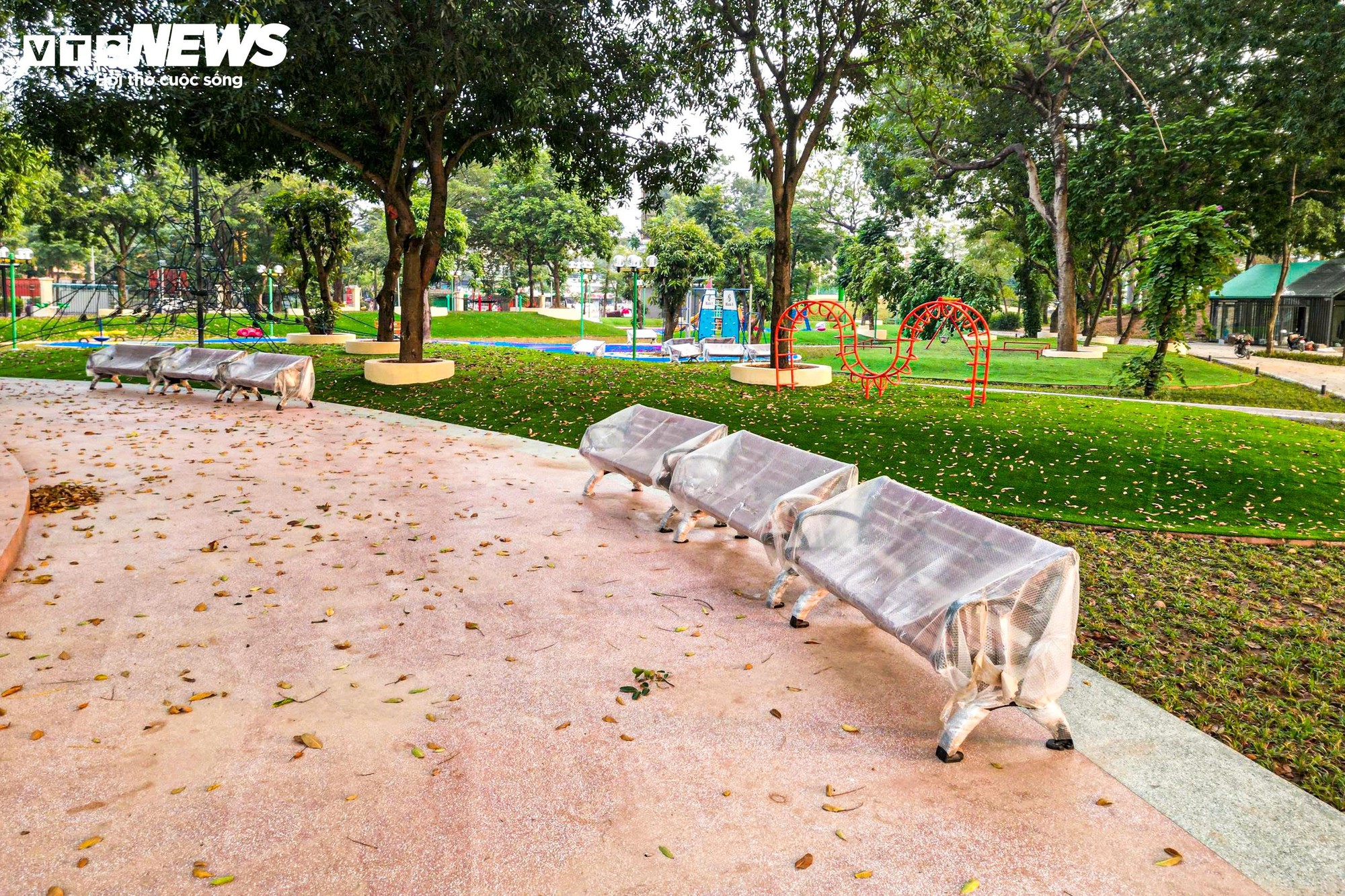 Chiêm ngưỡng cầu đi bộ hình cây đàn trong công viên trung tâm Hà Nội - Ảnh 11