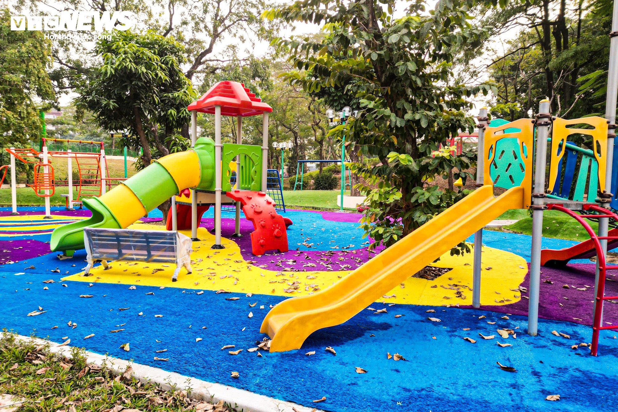 Chiêm ngưỡng cầu đi bộ hình cây đàn trong công viên trung tâm Hà Nội - Ảnh 13