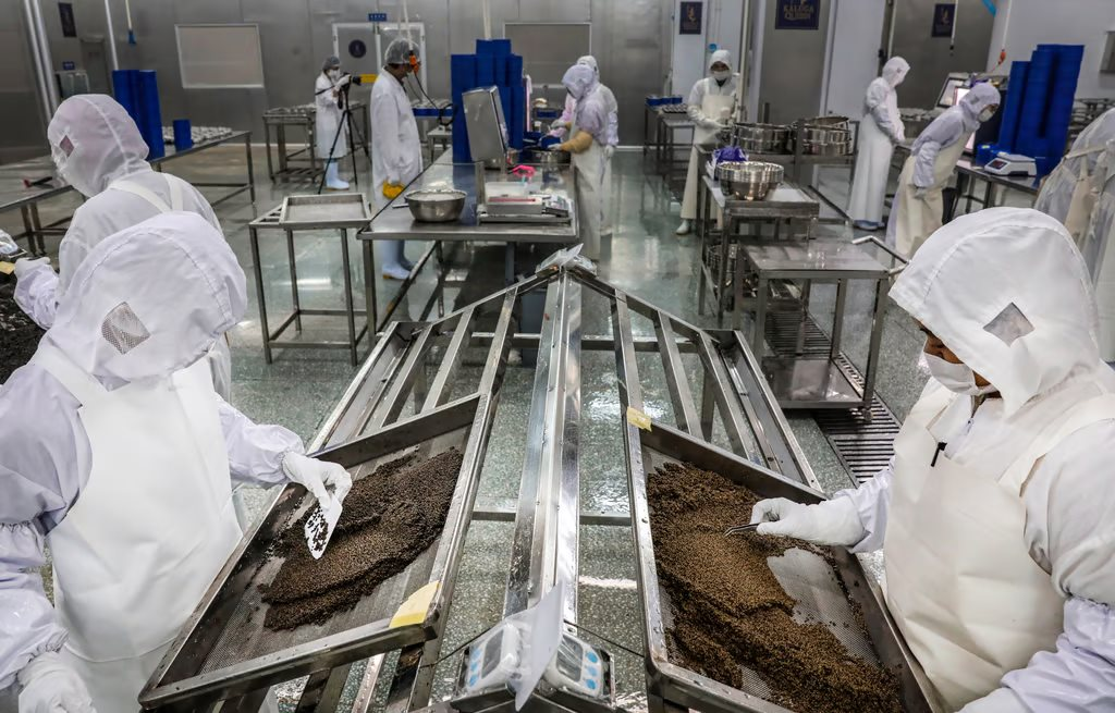 Cứ 10 hộp trứng cá muối thì 6 hộp ‘Made in China’: Trung Quốc từ kẻ vô danh thành nhà sản xuất số 1 thế giới - Ảnh 5