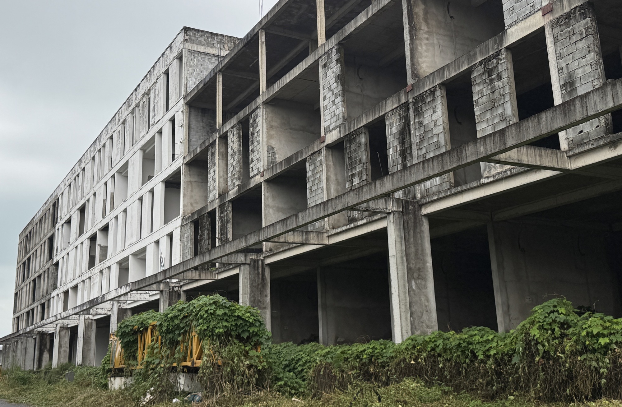 Khu đô thị quốc tế Đa Phước thi công trở lại - Ảnh 10