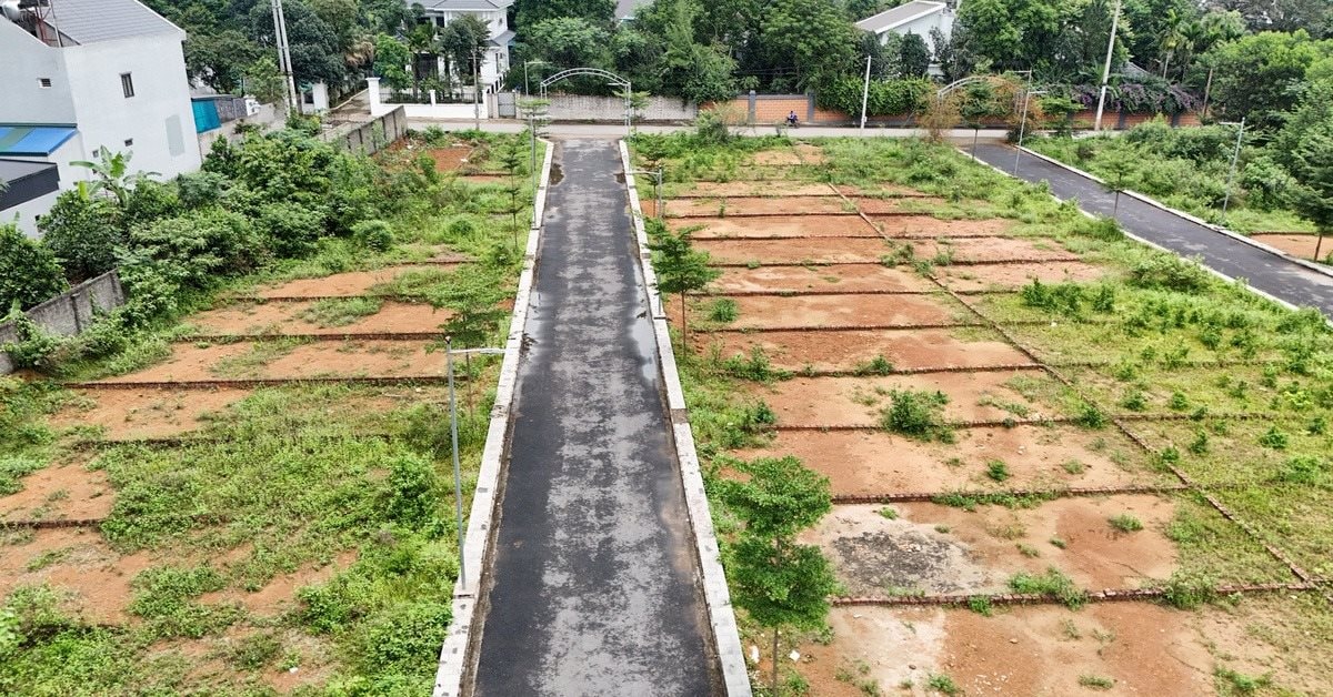 Thông tin quan trọng về phân lô, tách thửa đất từ ngày 1/1/2026 - Ảnh 1