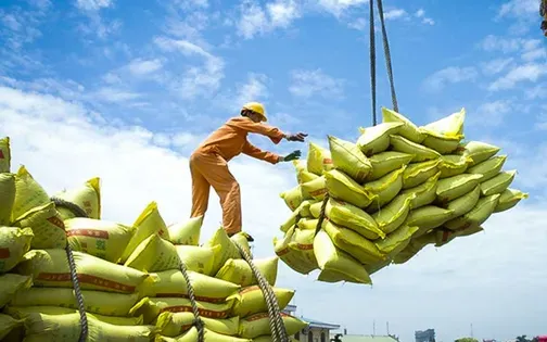 Việt Nam xuất khẩu 7,5 triệu tấn gạo - Ảnh 1