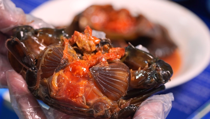 Đặc sản cua gạch Cà Mau ngâm nước mắm giá gần 1 triệu đồng/kg - Ảnh 2