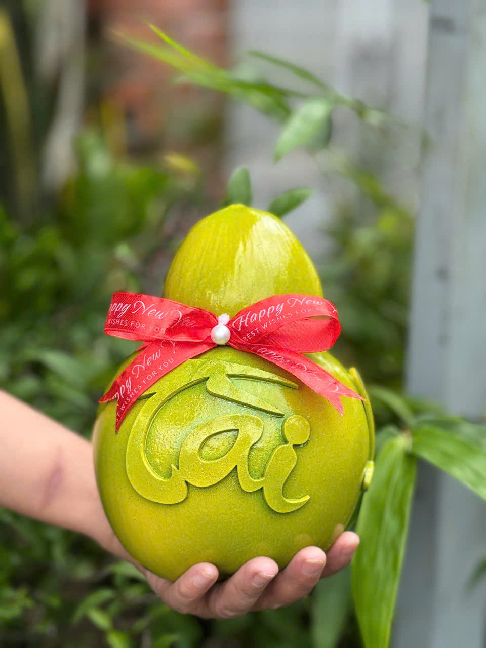 Bất ngờ về thị trường trái cây độc lạ chưng Tết 2026 - Ảnh 1