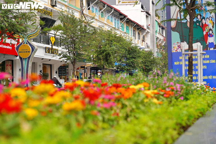 Ngắm loạt nhà cổ trung tâm TP.HCM 'khoác áo mới' - Ảnh 7