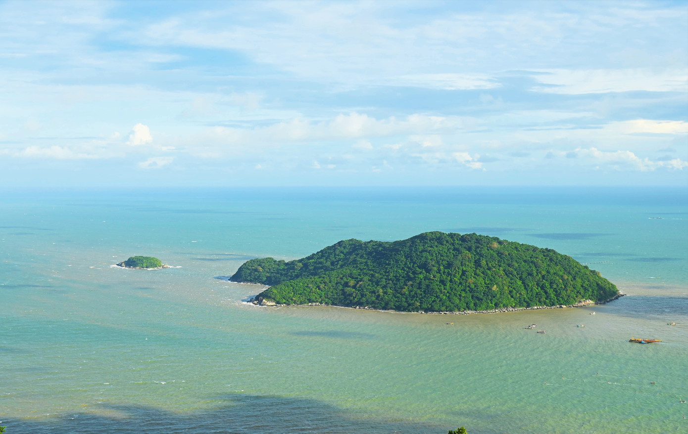 Cà Mau chuyển gần 10ha rừng phòng hộ để làm đường ra đảo Hòn Khoai - Ảnh 1