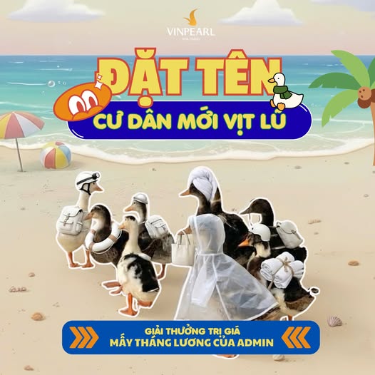 17 con vịt bị lũ cuốn trôi vào resort của ông Phạm Nhật Vượng: Vinpearl Nha Trang tổ chức thi đặt tên, thưởng 17 cặp vé - Ảnh 2