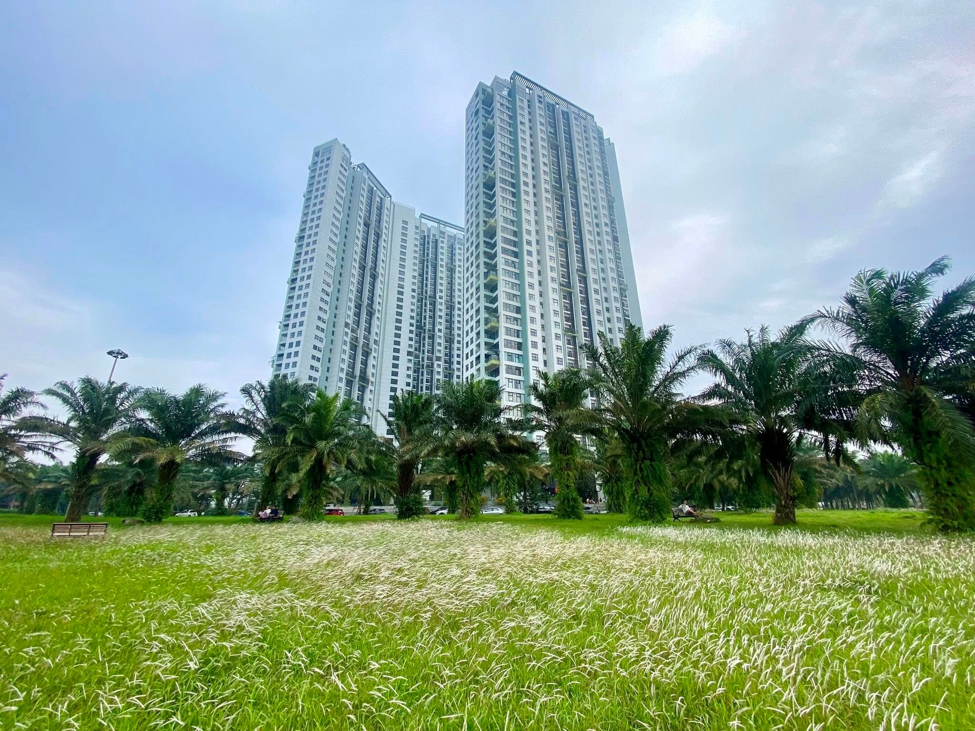 Tại sao phân khúc cao cấp chiếm chủ đạo thị trường bất động sản? - Ảnh 1