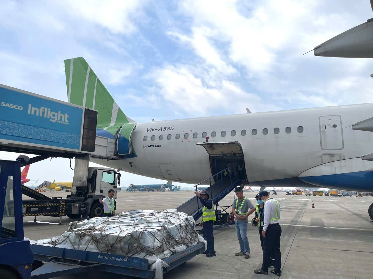 Chỉ khi tăng quy mô đội bay, Bamboo Airways mới có khả năng phục hồi - Ảnh 2