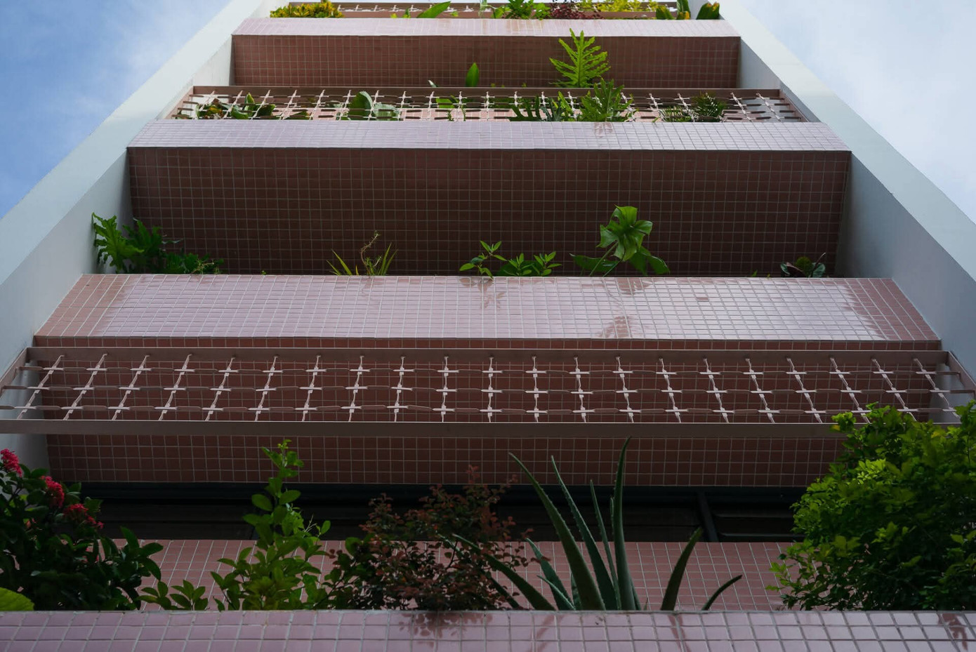 Nhà trong hẻm dưới 40m2 vẫn thoáng nhờ thiết kế 'sân chơi' - Ảnh 1