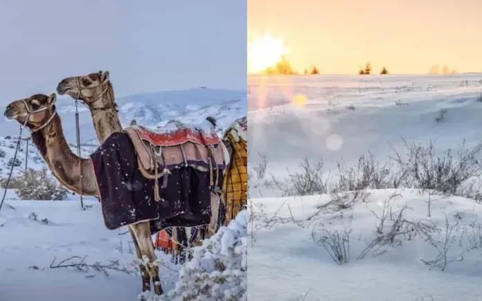 Tuyết phủ trắng sa mạc, tạo nên “thiên đường mùa đông” hiếm có ở Saudi Arabia - Ảnh 1