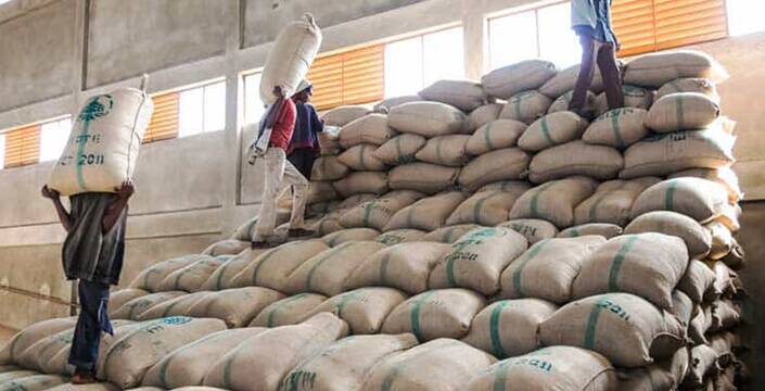 Hàng chục nghìn tấn hàng của Việt Nam được Nga đổ tiền mua với giá cực đắt: thuế nhập khẩu 0%, sản lượng hơn 1 triệu tấn/năm - Ảnh 1