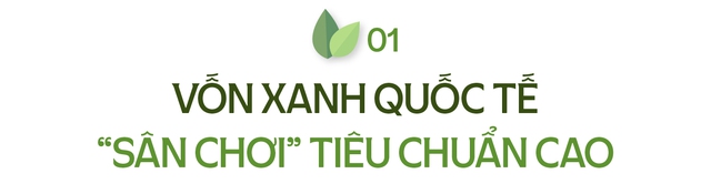 Vốn xanh quốc tế: Vì sao HDBank là một trong số ít được chọn? - Ảnh 2