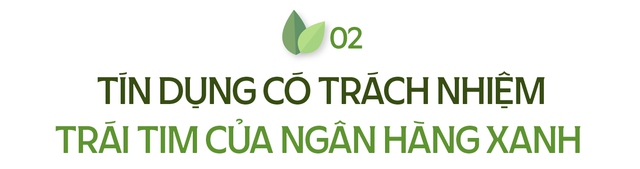 Vốn xanh quốc tế: Vì sao HDBank là một trong số ít được chọn? - Ảnh 6