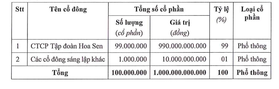 Hoa Sen Group muốn thành lập công ty sản xuất sắt, thép tại Hải Phòng - Ảnh 2