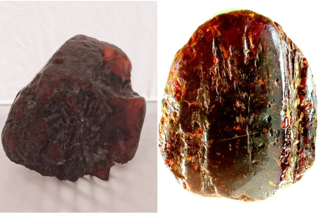 Nhặt hòn đá dưới suối về chặn cửa suốt mấy thập kỷ, chuyên gia vừa xem đã nói là kho báu gần 29 tỷ đồng - Ảnh 2