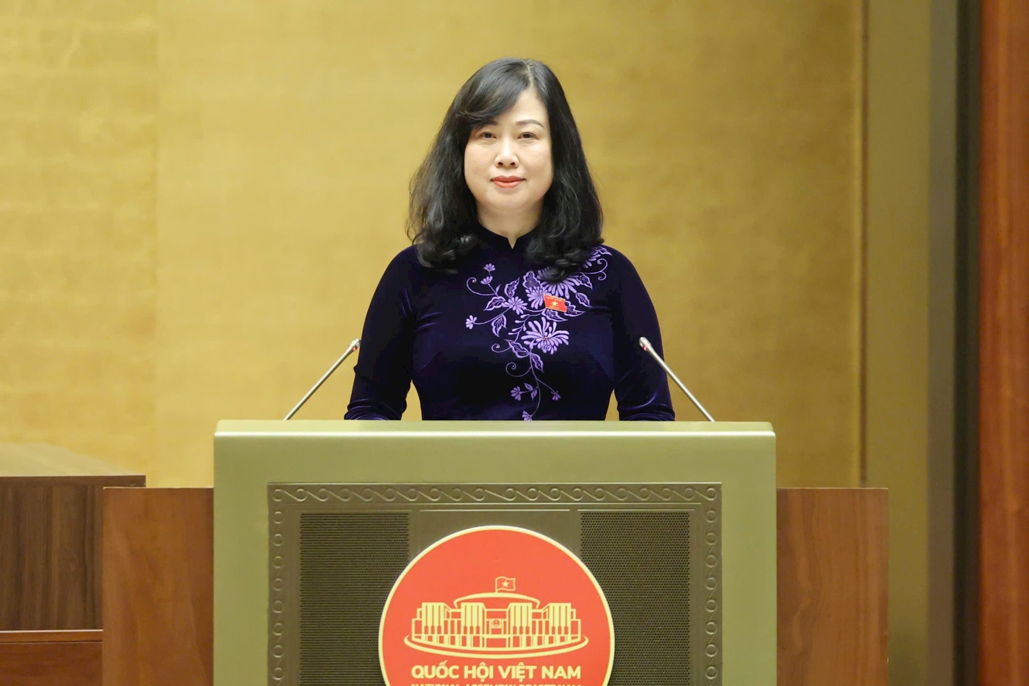 Phụ nữ sinh đủ 2 con được hỗ trợ tiền, nghỉ thai sản 7 tháng - Ảnh 1