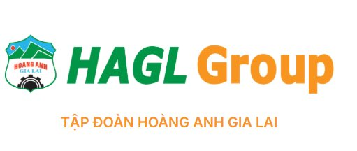 Bầu Đức lặng lẽ đổi lại logo cho Hoàng Anh Gia Lai sau khi chia tay bầu Thụy - Ảnh 1